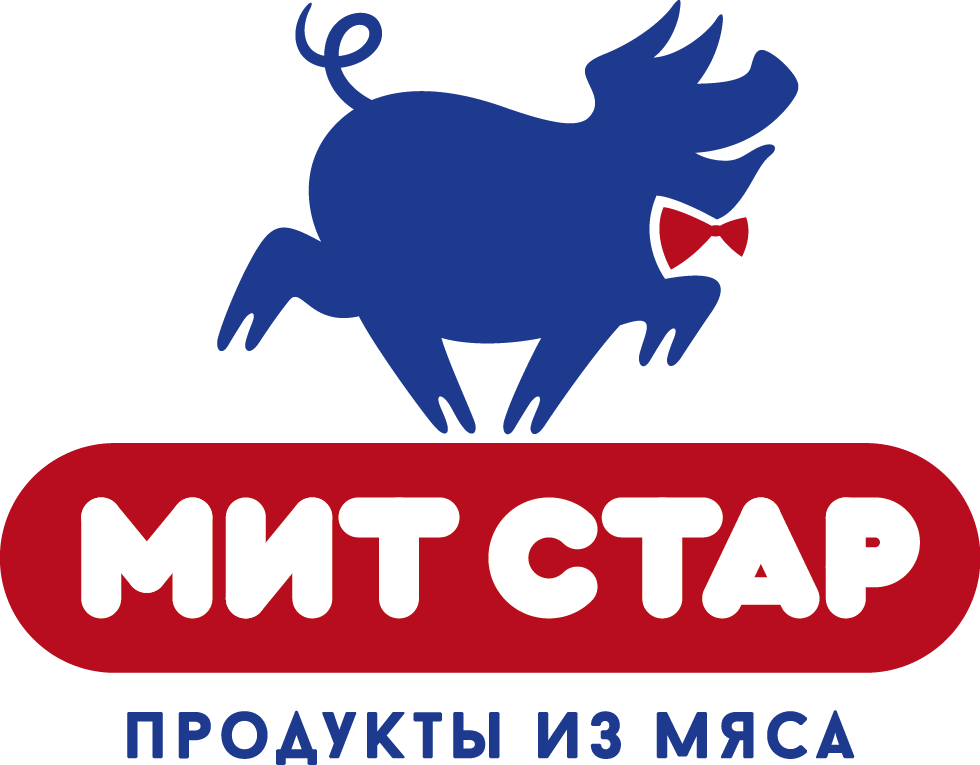 VATEL_MS-Logo.png